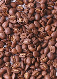 コーヒ豆が広がるA4サイズ背景素材