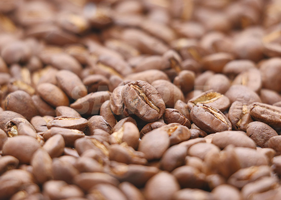 真ん中で存在感を出すコーヒ豆のA4サイズ背景素材