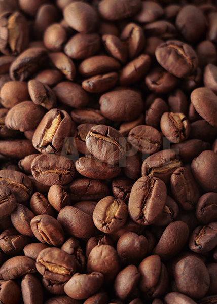 コーヒ豆が一面に散らばるA4サイズ背景素材