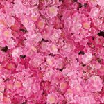 ピンク色のマリア リサの花のA4サイズ背景素材