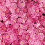 ピンク色のマリア リサの花のA4サイズ背景素材