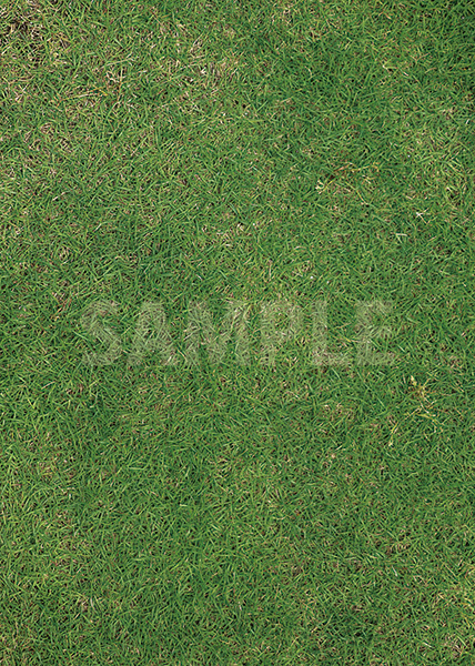 緑の芝生のA4サイズ背景素材