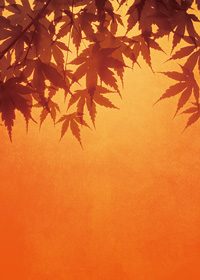 赤く色づいた紅葉のA4サイズ背景素材