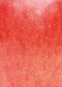 りんごの表面のA4サイズ背景素材