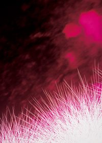 真っ赤な花火のA4サイズ背景素材データ